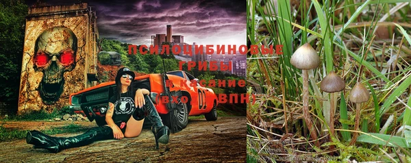 соль курить ск Балахна