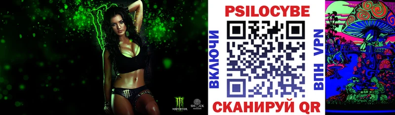 Псилоцибиновые грибы Psilocybe  где купить   Гулькевичи 